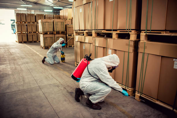 Pest Prevention Services in South Bound Brook, NJ