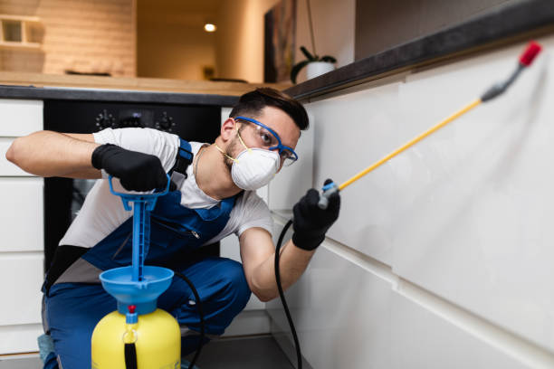 Best Pest Inspection Near Me  in South Bound Brook, NJ