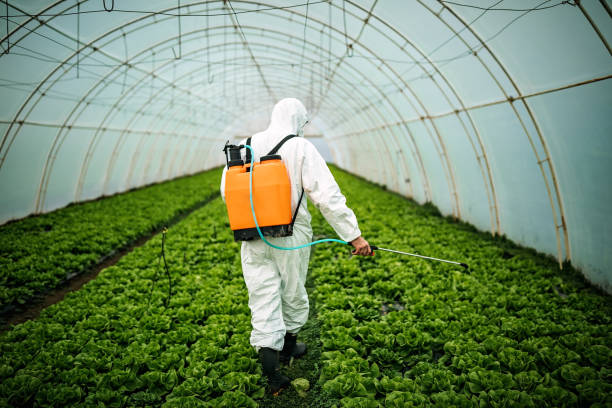 Best Local Pest Control Services  in South Bound Brook, NJ