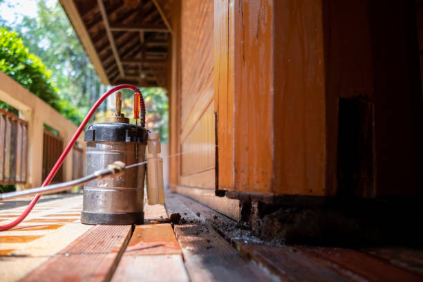 Best Exterminator Services  in South Bound Brook, NJ