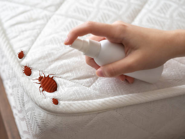 Best Affordable Pest Control Services  in South Bound Brook, NJ